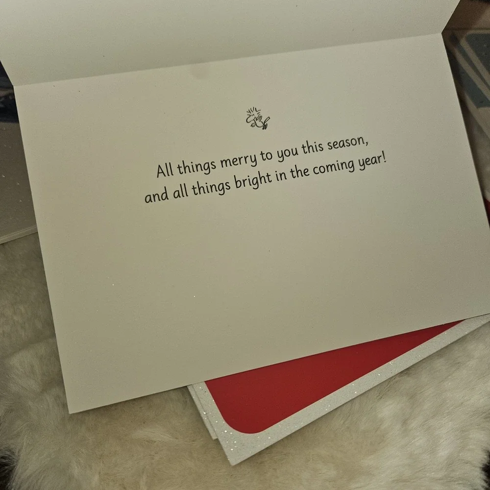 Hallmark Peanuts Snoopy Christmas Cards 14 Ct Envelopes Glitter Schulz 2023